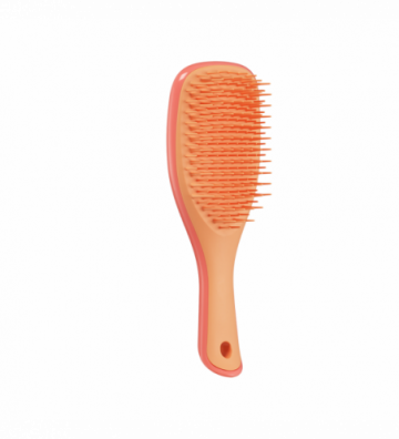 Tangle Teezer Detangler...